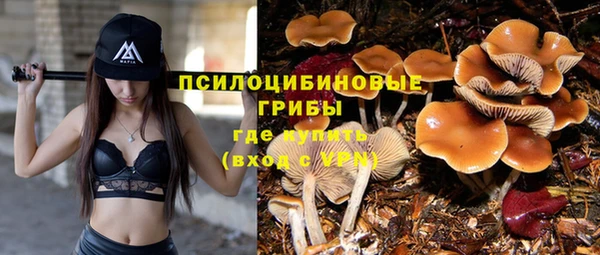 прущая мука Куйбышев