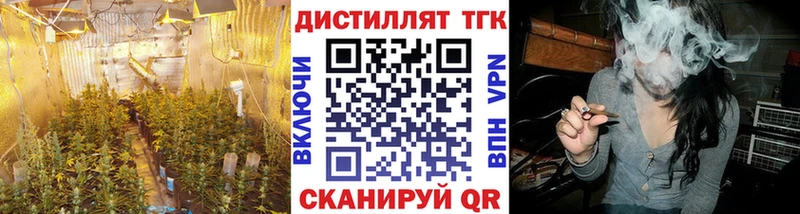 Купить где  Агрыз  Дистиллят ТГК концентрат 