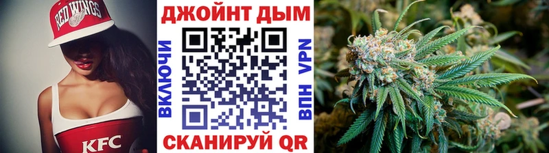 Каннабис сатива  Купить  Агрыз 